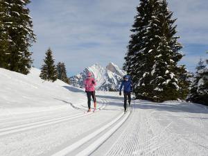 Cross-Country Skiing near Zurich