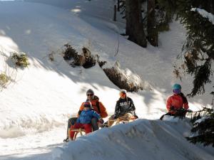 Rotenflue-Rätigs Toboggan Run