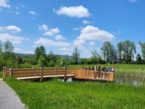 Naturstation Silberweide