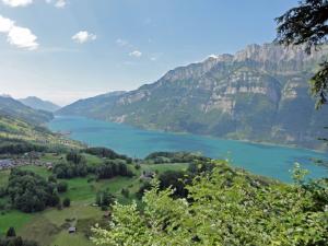 Walensee Lake