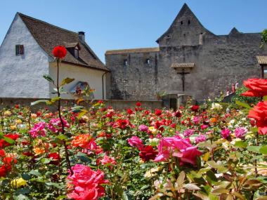 Rosenstadt Rapperswil