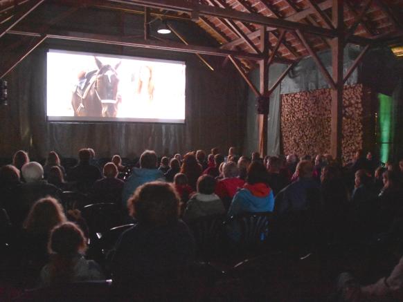 Menschen geniessen eine Film zusammen