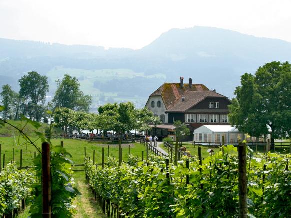 Insel Ufnau, Restaurant