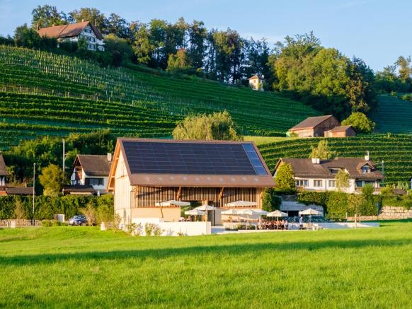 Weingut Höcklistein mit Weinberg